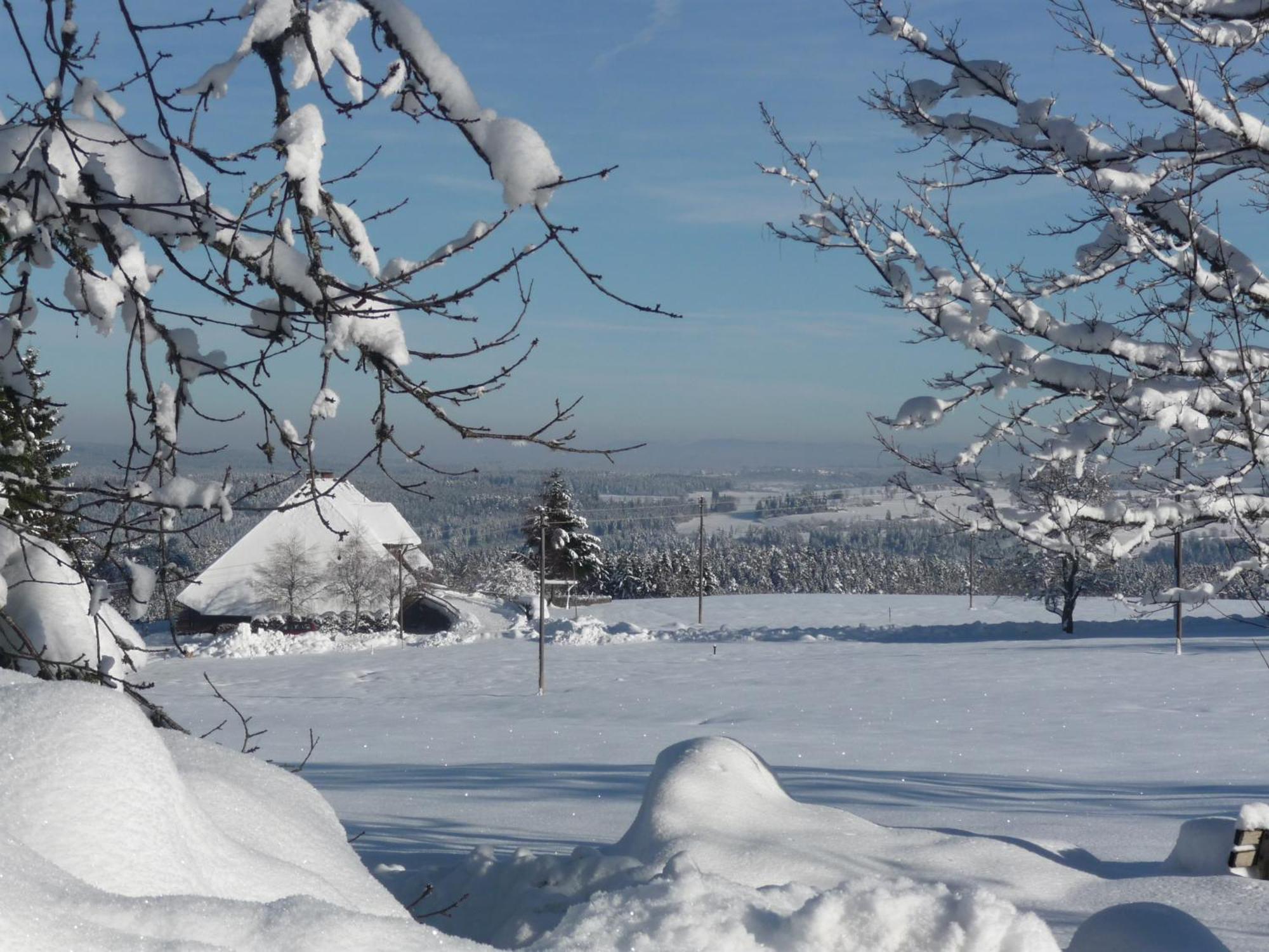 Hoehenpension Glashuette Bed&Breakfast Fruehstueckspension Hotel Garni Bonndorf im Schwarzwald Dış mekan fotoğraf